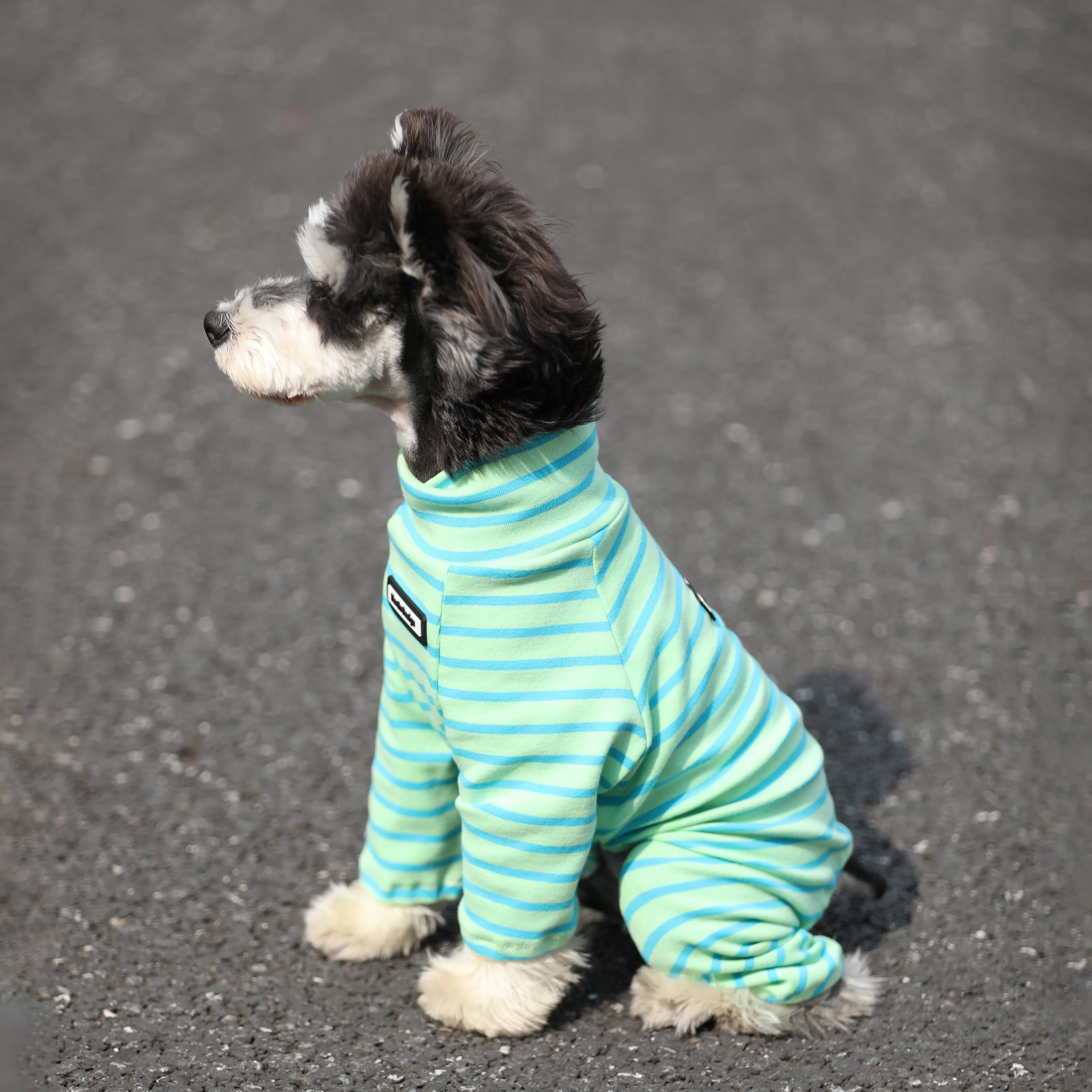 犬用秋冬棉条纹高领外套：适合小型犬的毛抜け防止实用服饰