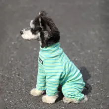犬用 秋冬 コットンストライプ高ネックウェア【小型犬・テディ・シュナウザー・ポメラニアン用・毛抜け防止】