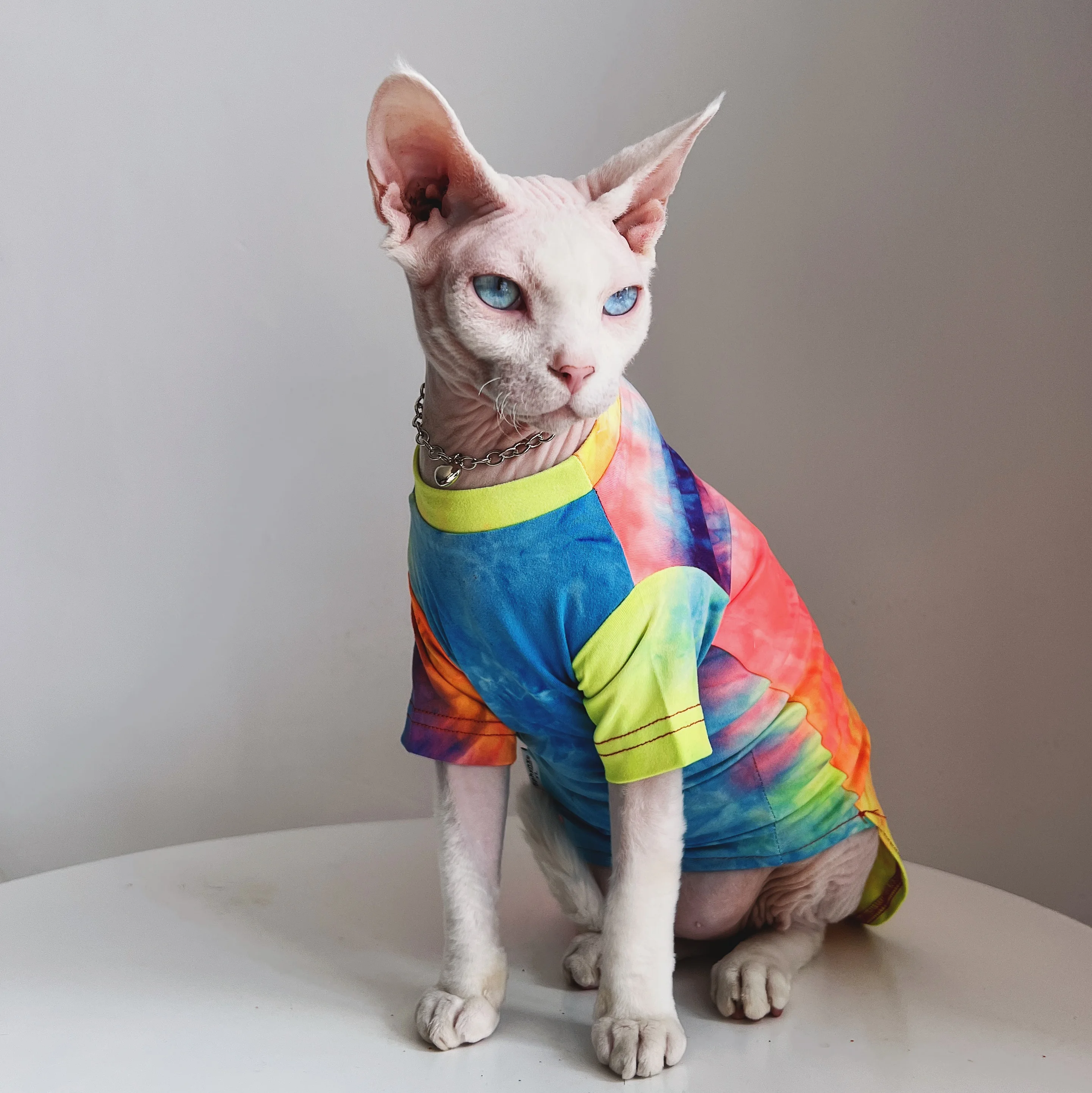 無毛猫用衣服：スフィンクス・コーニッシュ向けの肌に優しい夏用エアコン対応モデル