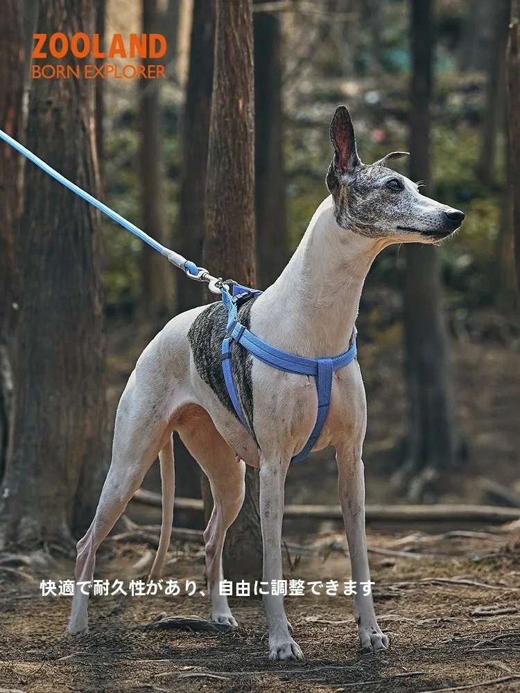 フル活用した節約生活のコツ｜収納ボックスの使い方と見落としポイント徹底解説
