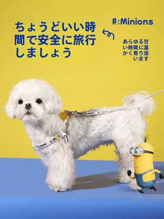 ミニオンシリーズ ペット用リード【小型犬用・テディベア・散歩用ハーネス】