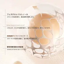 美白UVカット化粧下地・リキッドファンデーション【明るさアップ・カバー力・持続性】