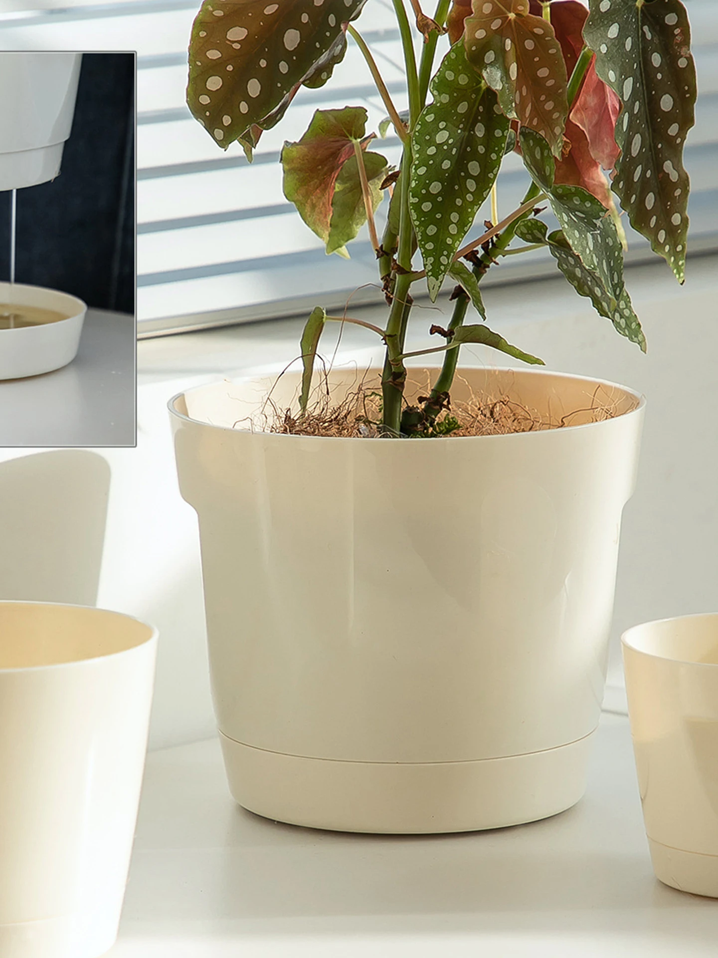 安い観葉植物用の鉢を選ぶときに迷うのは、なぜ？