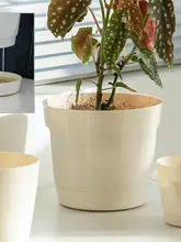 自吸水プラスチック製花盆【加厚・手間いらず・恐暗】