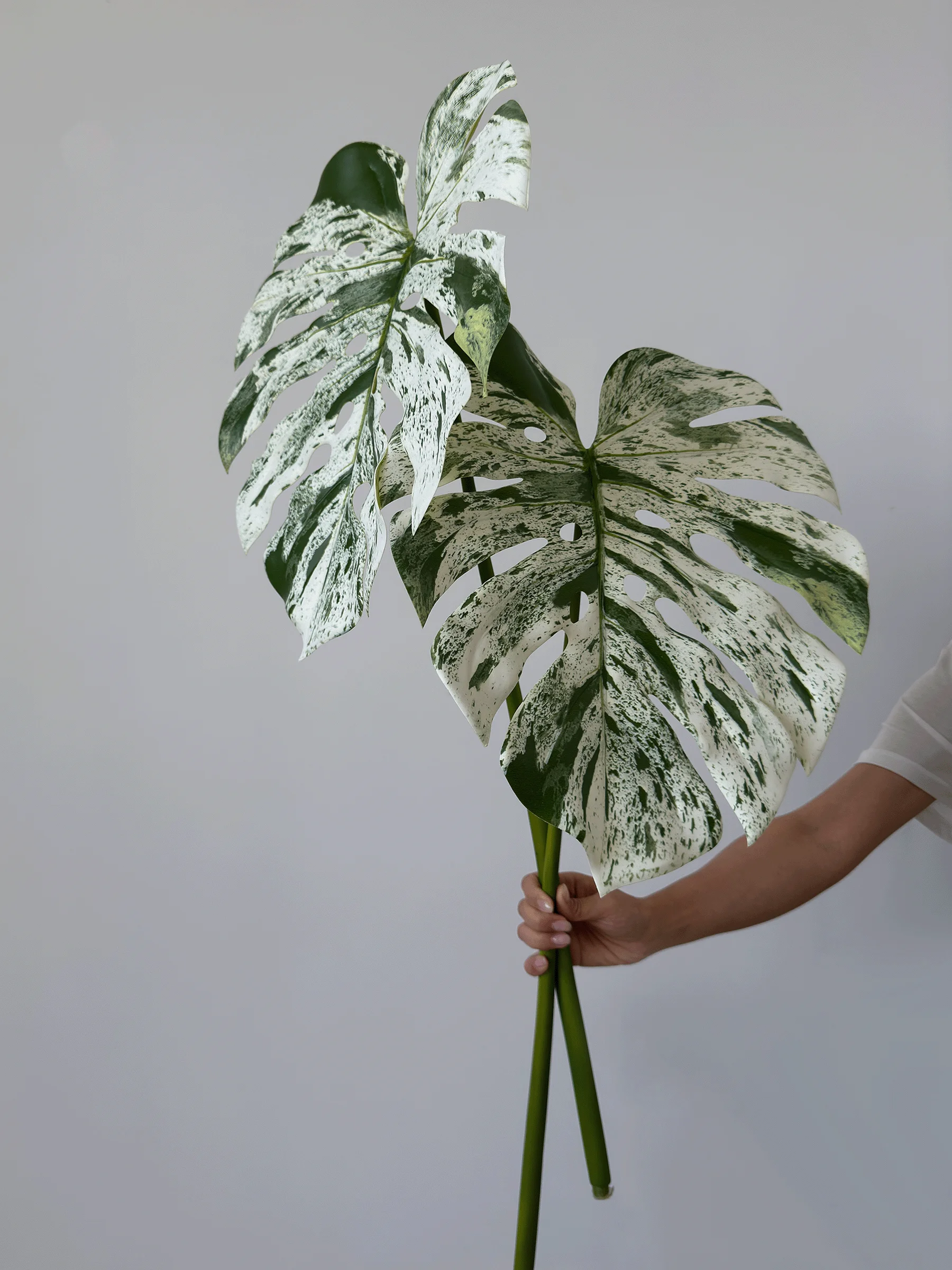 リアルな質感の人工観葉植物を選ぶには？見た目と暮らしの調和が鍵