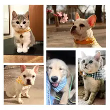 可愛い猫用首輪 三角巾付き【ペット用・愛犬用・迷子防止ネームタグ】（セットアップ対応）