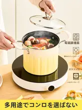 家庭用小型フライヤー【省油・フィルター付き・多機能・天ぷら・ノンスティック】