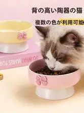 陶製ペットボウル【大口・高脚・猫と犬用・カラフル仕上げ】
