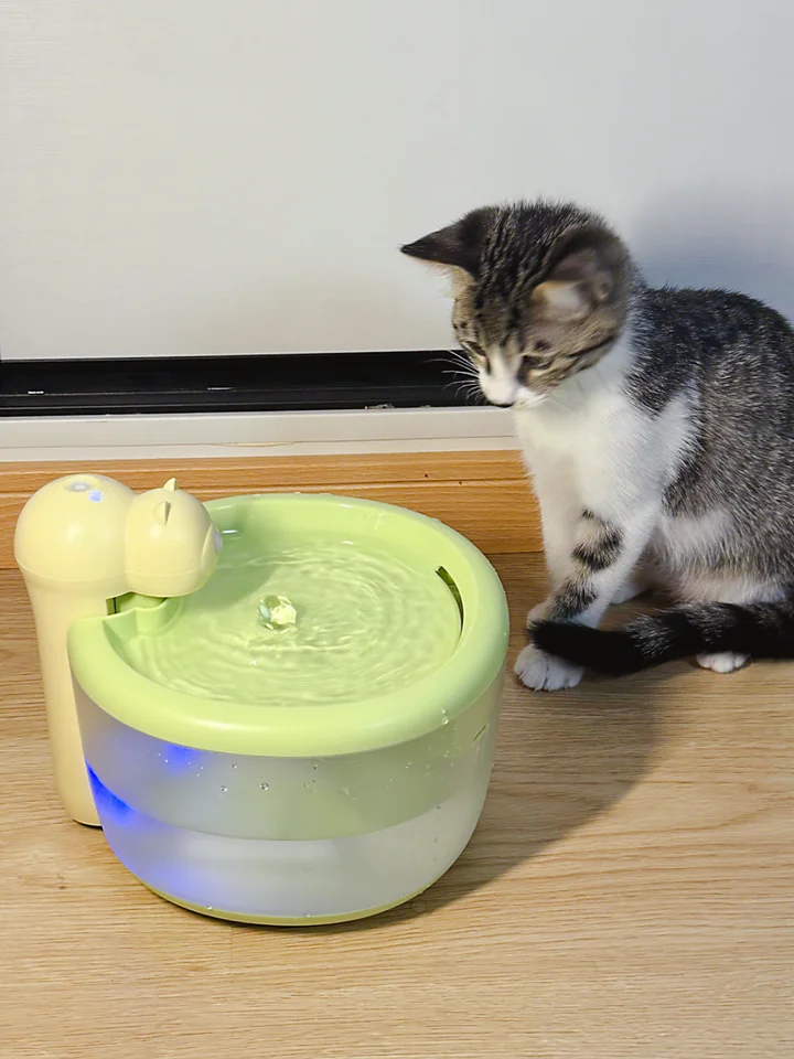 自動循環式猫用給水器【恒温加熱・フィルター付き・カートゥーンベアデザイン】