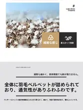全棉製 薄型マットレスカバー【家庭用・防滑・快適】