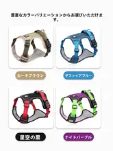 大型犬用 防爆型 ハーネス付きリード【中型犬・散歩用】