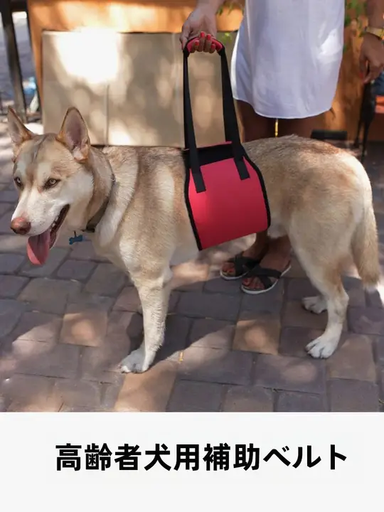 ペット用 ヘルプハーネス【中型・大型犬用・肩掛けタイプ】