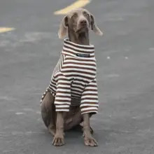 大型犬用ニットトレーナー【ツートン・ストライプ・秋冬用・ラブラドール対応】