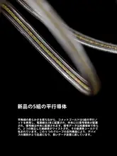 純銀製デジタル信号ケーブル【Type-CからType-C】