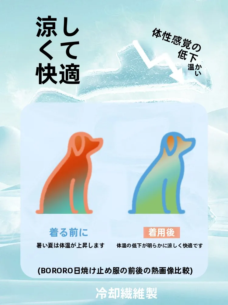 犬のお散歩グッズをコスパ良く揃える方法　涼感ウェアの選び方と実用性徹底解説