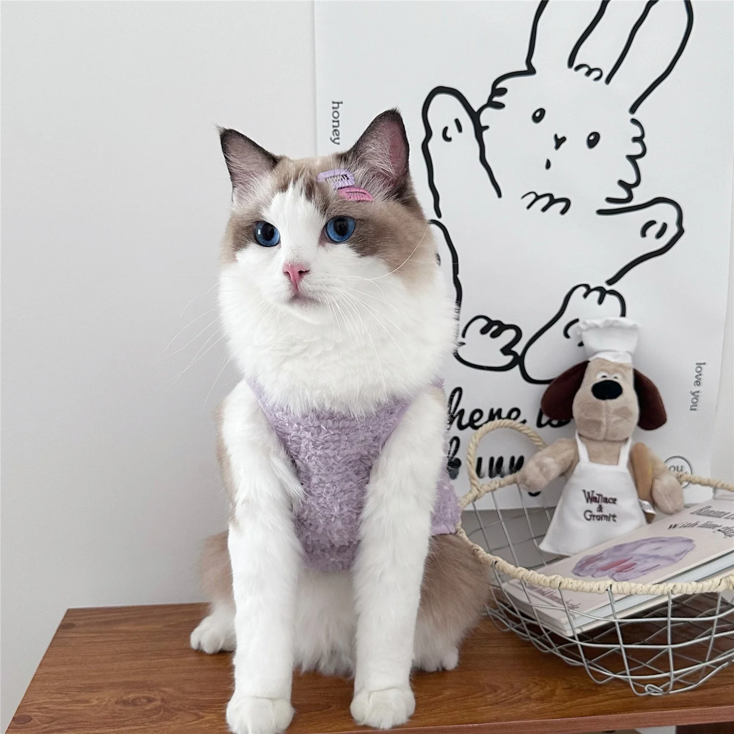 秋冬用かわいい犬猫用衣服：温かいフリースベストの実用性とシーン別適用