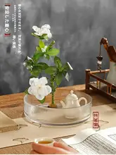 透明ガラス製花瓶【水耕栽培用・茶道テーブル飾り・強化底】