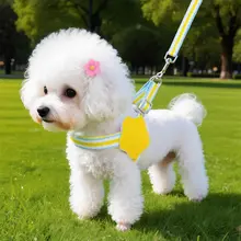 小型犬用 かわいい配色の調整可能な引き紐【防爆・胸背中用】