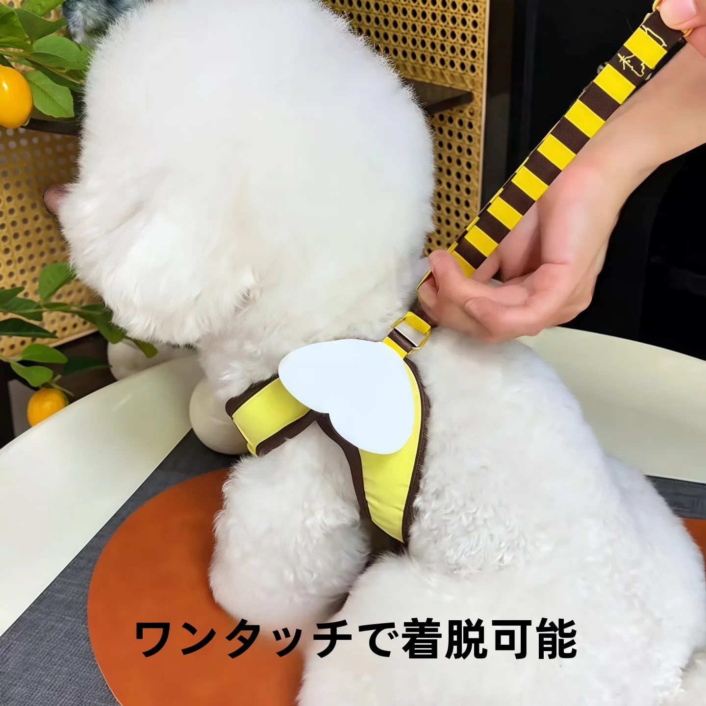 可愛いハチデザインの中小型犬用ハーネス：胸掛けスタイルで安全かつ快適な散歩を実現
