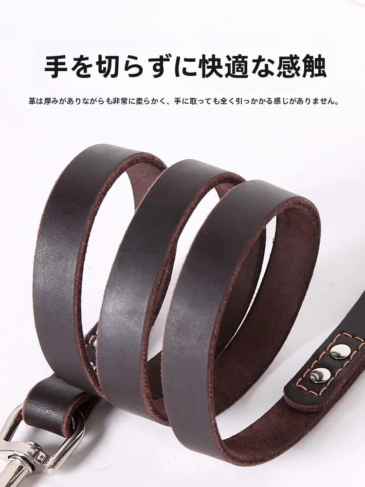 犬のお散歩グッズをコスパ良く揃える方法　完全ガイド