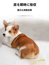 ペット用トイレシート 厚手 犬 猫 うさぎ 使い捨て 吸収