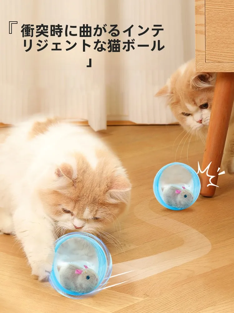 猫の自動おもちゃを上手に活用するには？厳選4選で遊びの質を飛躍的に向上