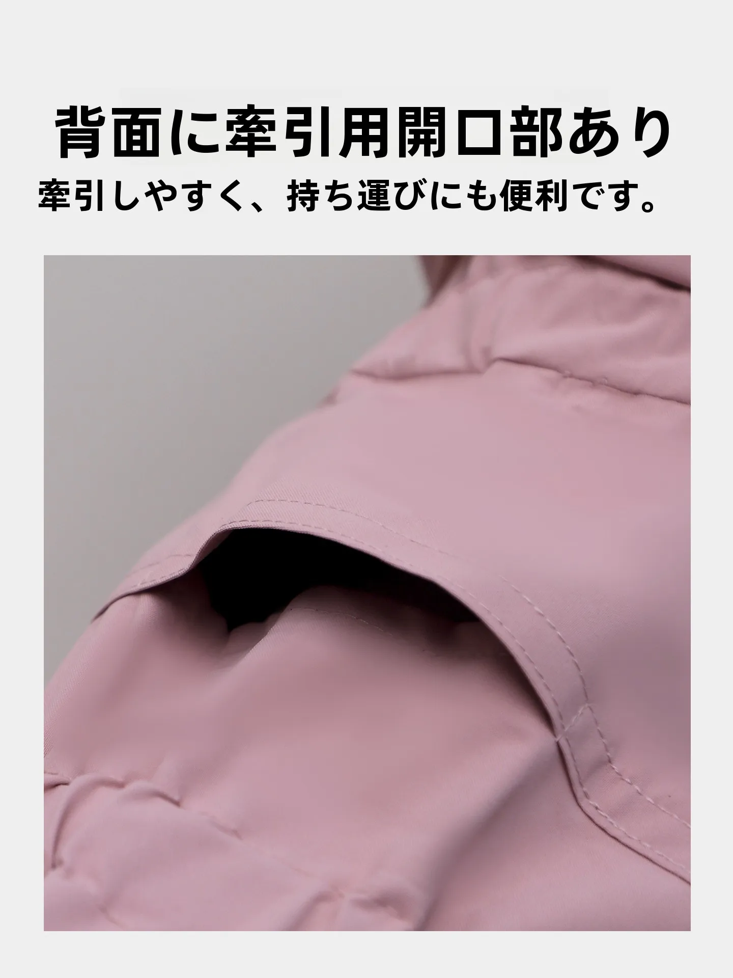 犬のお散歩グッズをコスパ良く揃える方法　完全ガイド