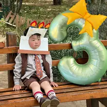 夏用グリーンバタフライロゼッタ大数字風船【アルミ製・誕生日・パーティー装飾】