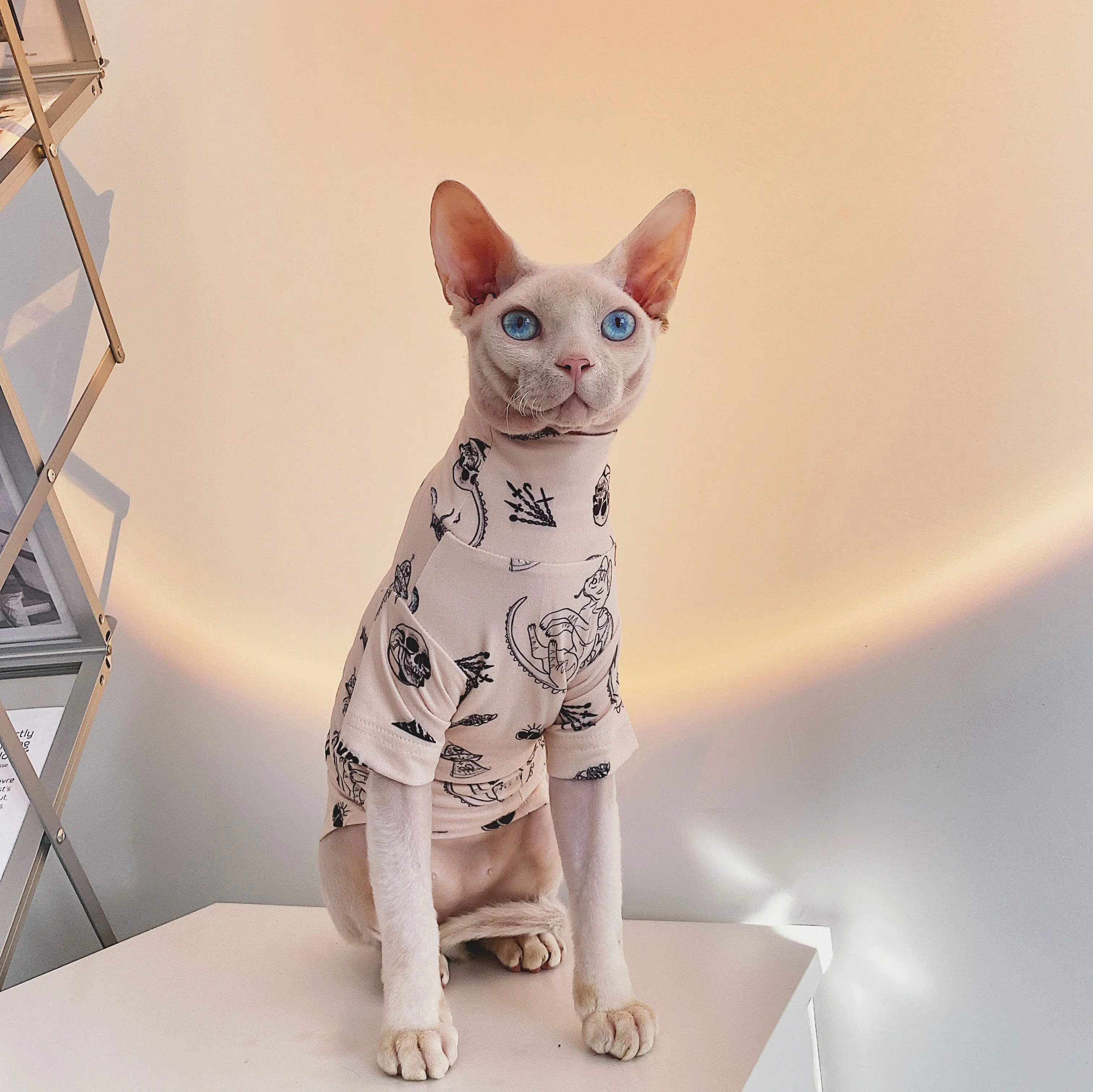 スウェットに猫のデザインを合わせるなら、どう選ぶ？