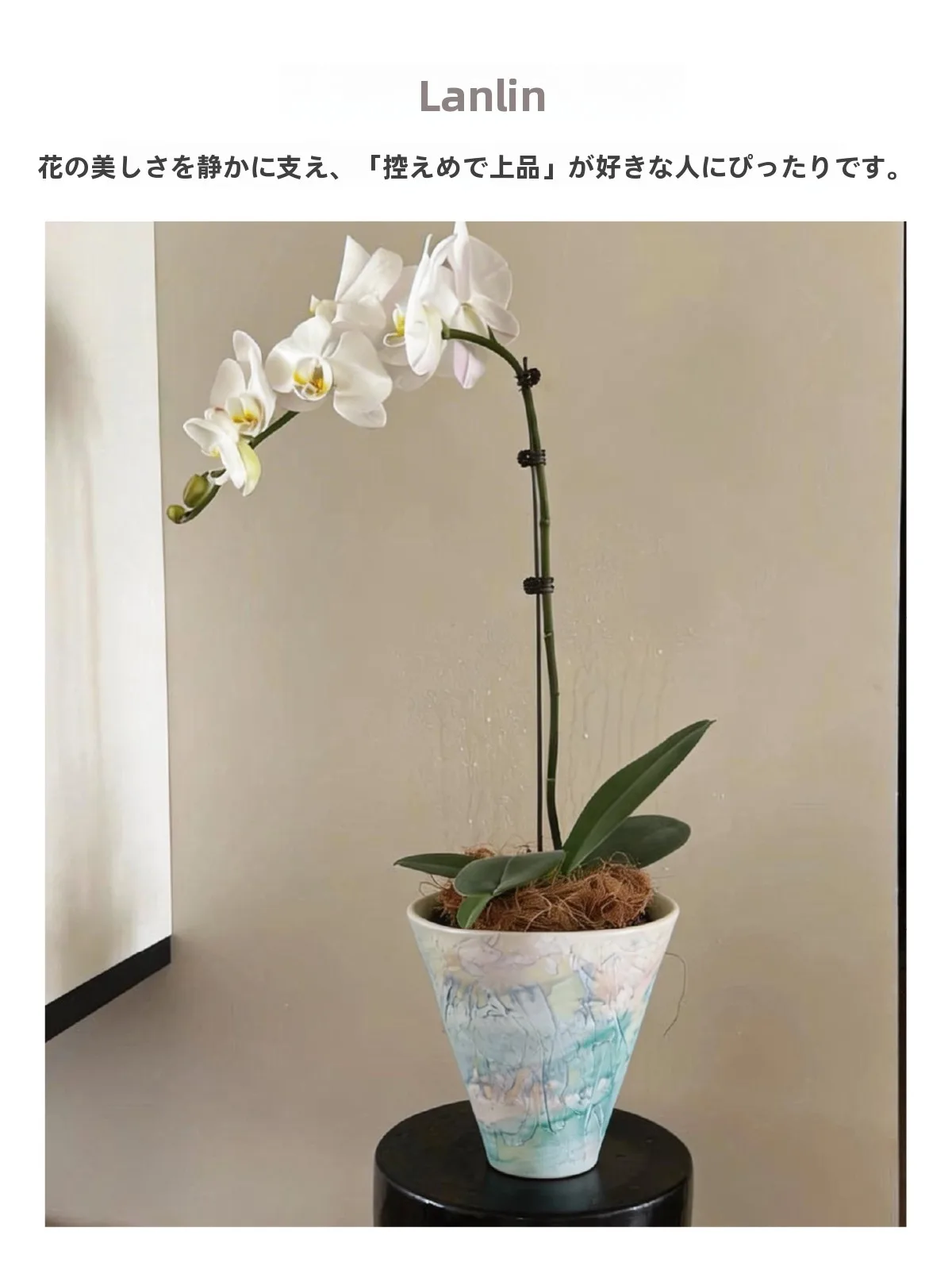 南天鉢植えを「おしゃれ」に仕上げる  には、どうやって選ぶべきか？