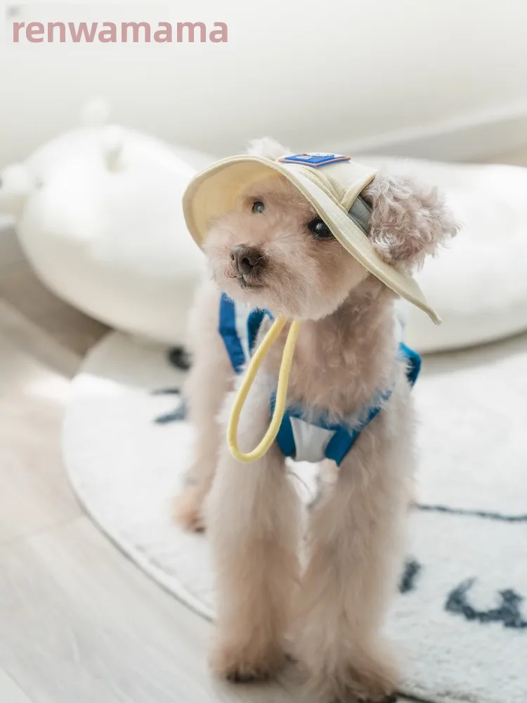 犬のお散歩グッズをコスパ良く揃える方法｜耳出し帽子と涼感ベストの実測ガイド