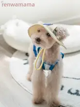 小型犬用 耳出し帽子＆防晒ベスト【涼感・アウトドア用】
