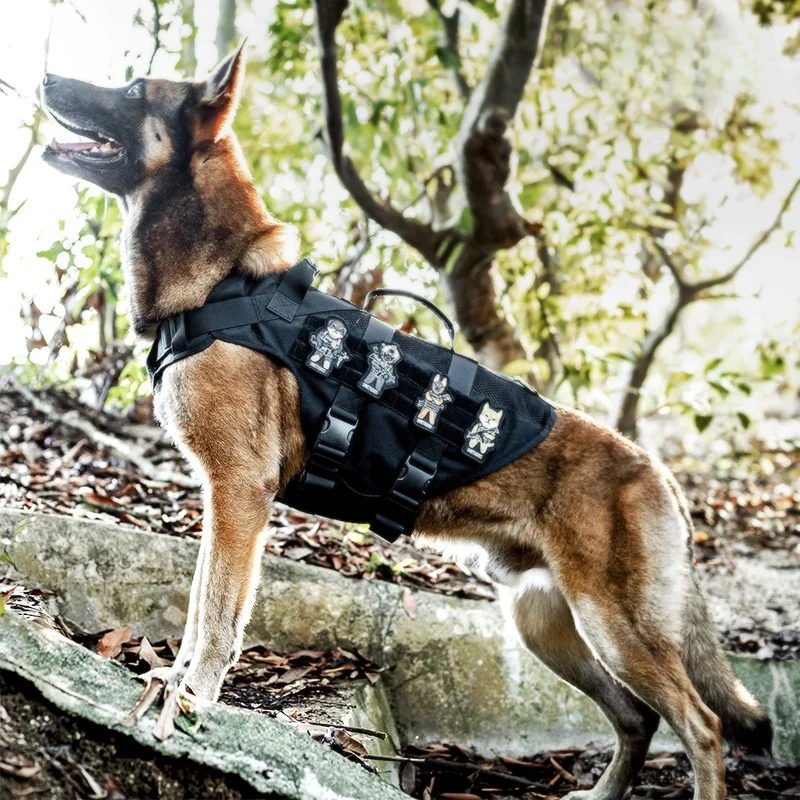 犬のお散歩グッズをコスパ良く揃える方法 - ハーネス型タクティカルリードの定義と特性