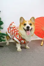秋冬用ペットウェア【可愛いデザイン・コーギー・テディベアタイプ・中型犬用】