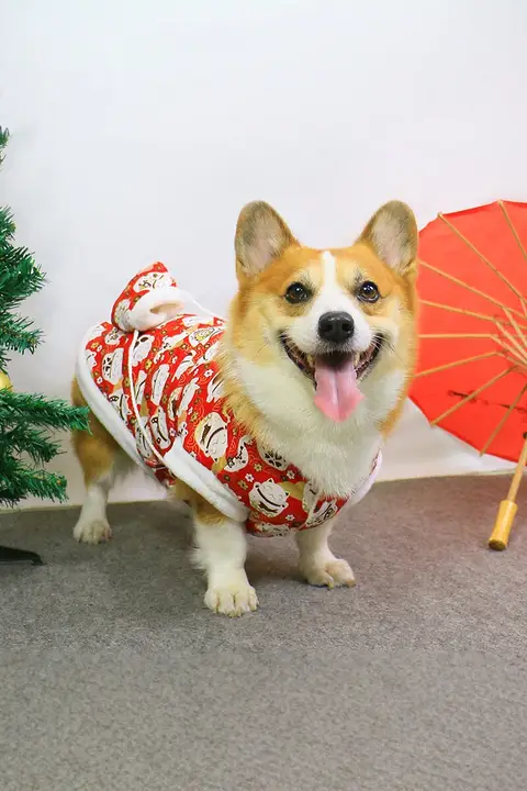 秋冬用ペットウェア【可愛いデザイン・コーギー・テディベアタイプ・中型犬用】