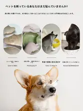 ステンレス製ペット用犬猫用フードボウル【水入れ兼用・小型犬向け】
