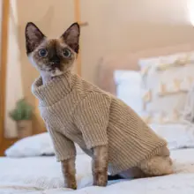 GINGERAIN テキサス猫用ニットセーター【保温・柔らかい・無毛猫対応】
