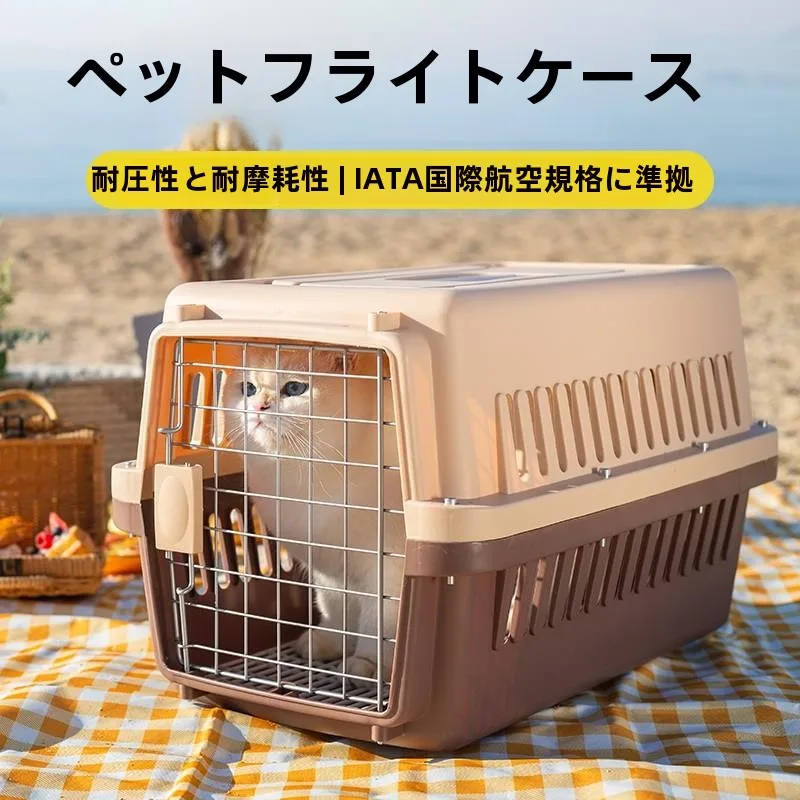 猫飼いが買ってよかったもの・悪かったもの正直に言う｜旅行・移動時の必需品徹底解説