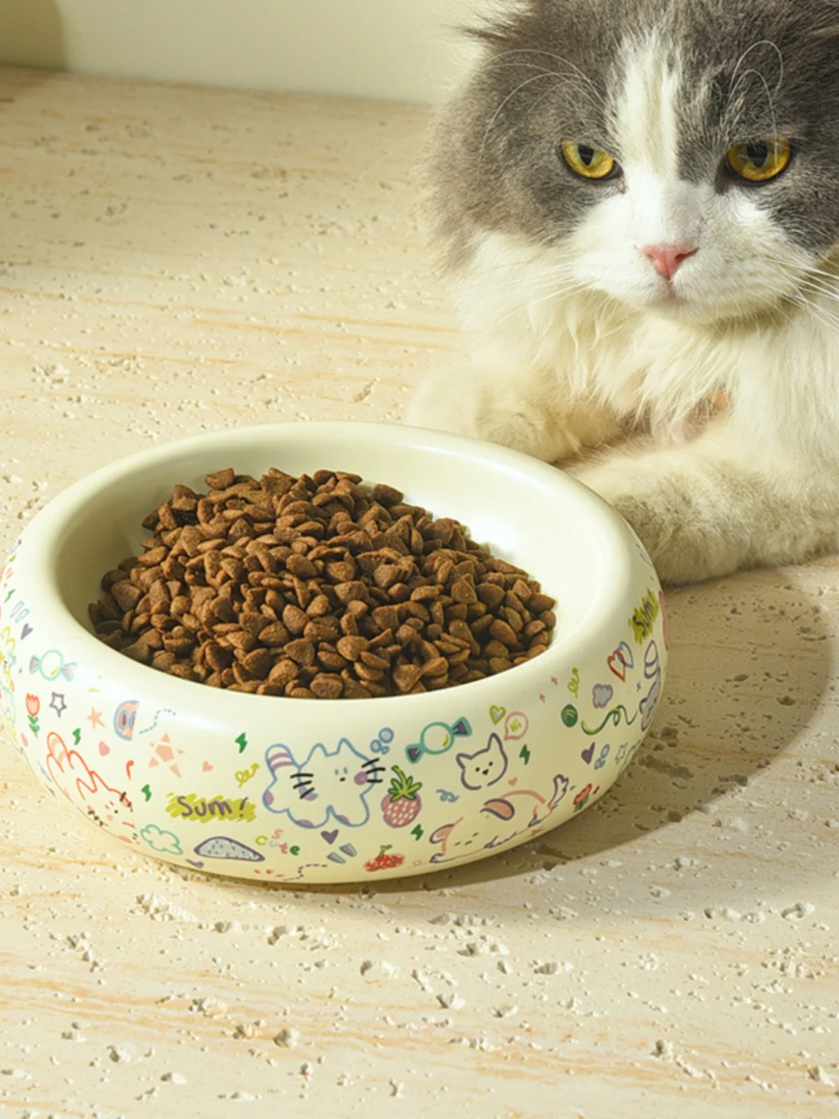 猫用陶器製高脚フードボウル：飼いやすい猫の食事環境を整えるためのデザインと機能
