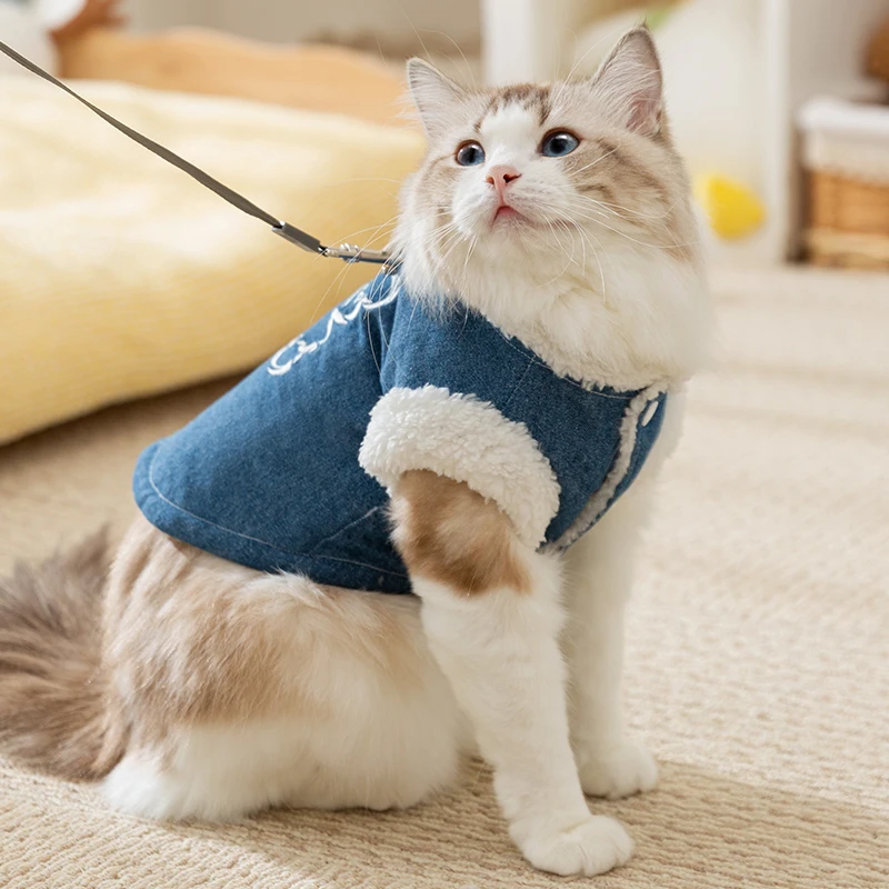 わんこ  服で悩むなら、この1着が本当に“通気性”と“おしゃれ”を両立できる？