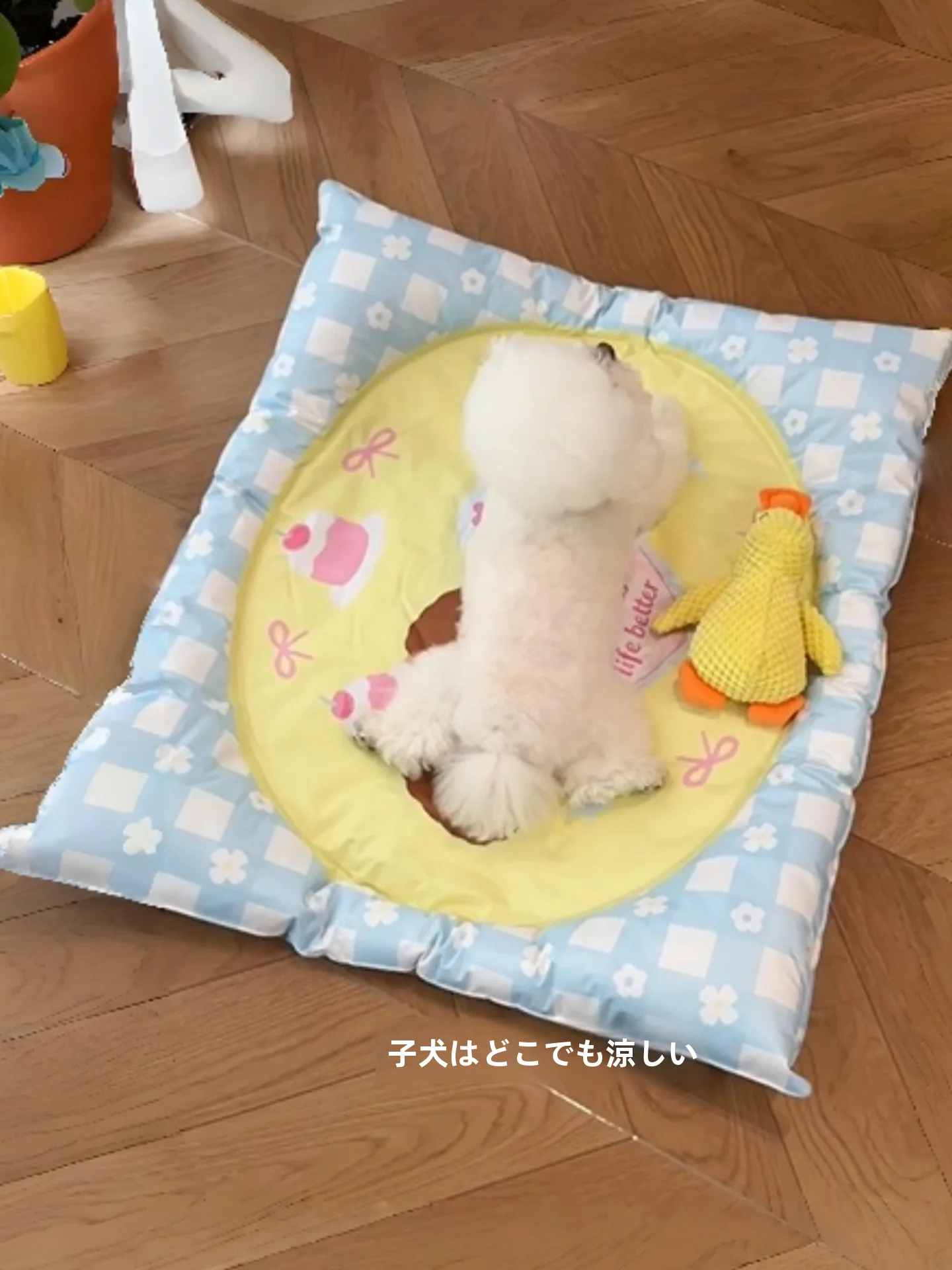 夏に涼しい犬ベッドの選び方：ペット用アイスパッドの実用性と性能解析
