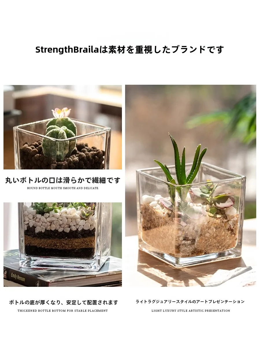 EKU PRO 角型水培花器：100均観葉植物水耕栽培の透明ガラス容器としての実用性と設置場所選定