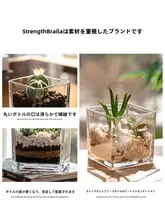 EKU PRO 角型水培用ガラス花器【透明・インテリア装飾用】