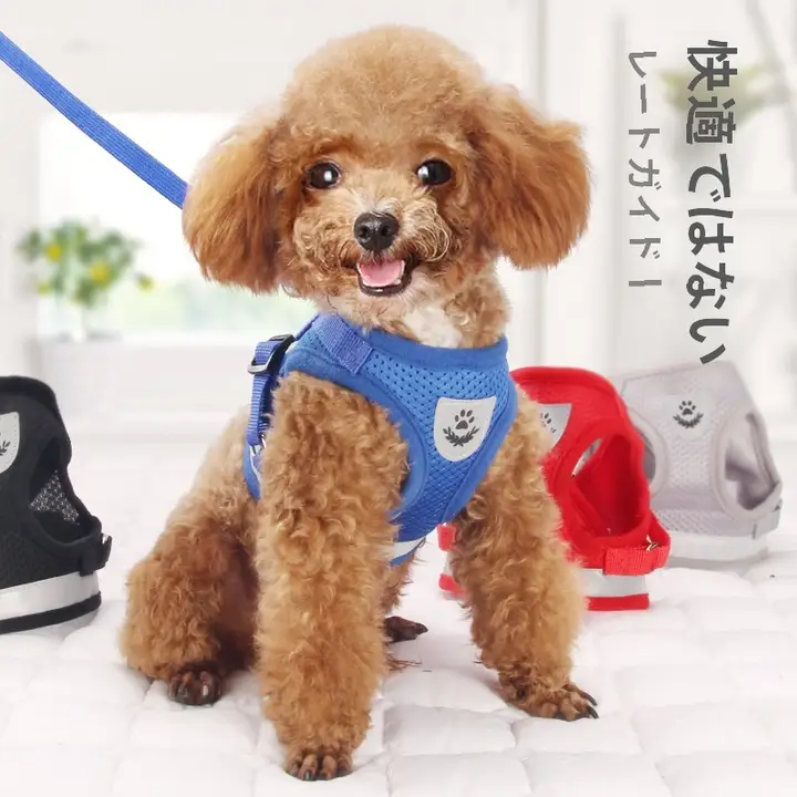 中型・小型犬用 ハーネス付きリード【ペット用・引っ張り防止・調整可能】
