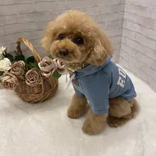 デニム風フード付きペットウェア【犬・猫用・アウトドア向け】