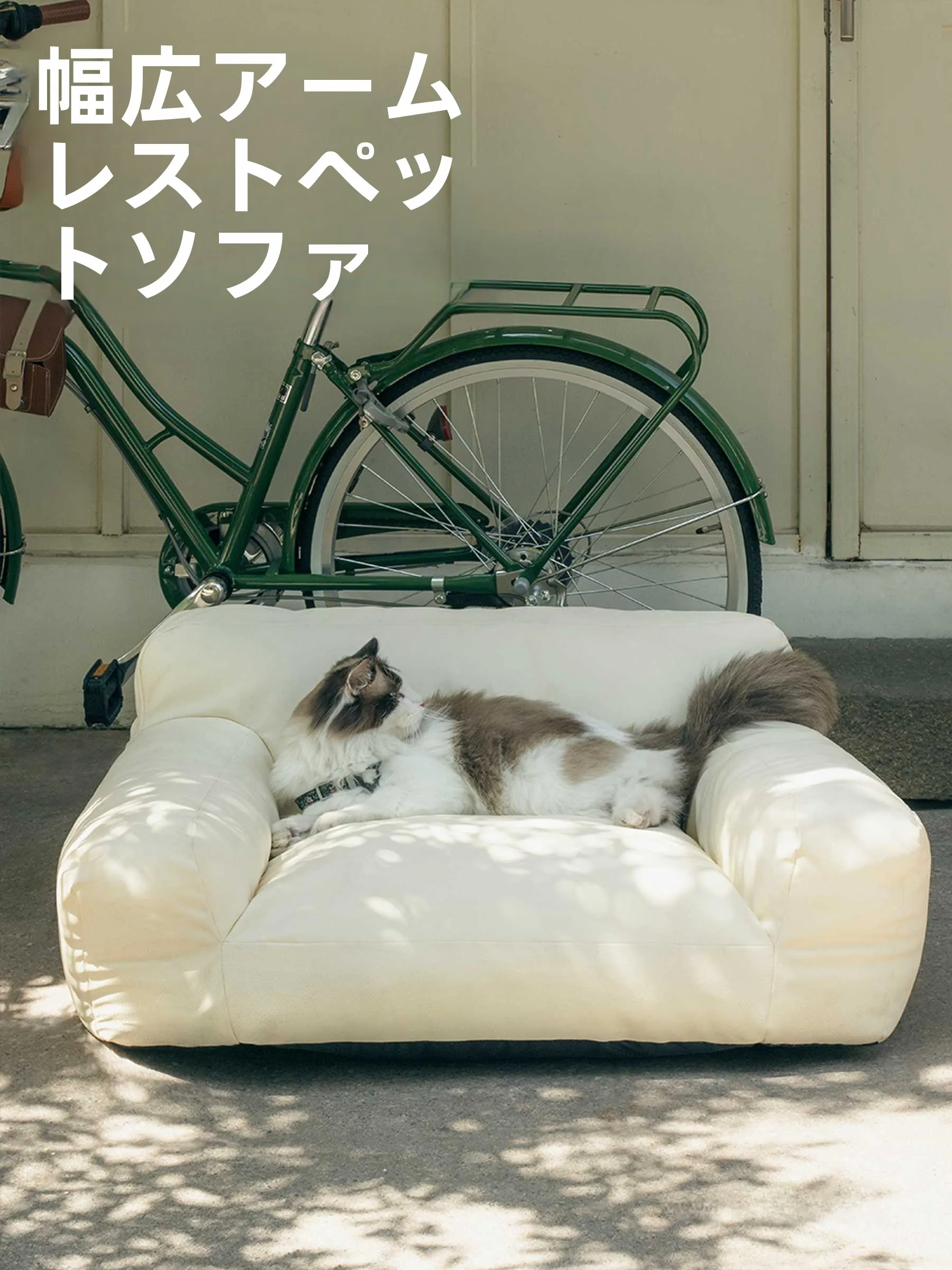 おうち時間を豊かにするおすす めアイテム | 猫用ソファの選び方徹底解説