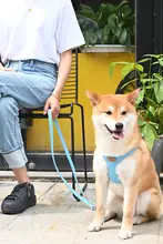 調整可能な超ロング犬用リード【中型犬・小型犬・1対2仕様】