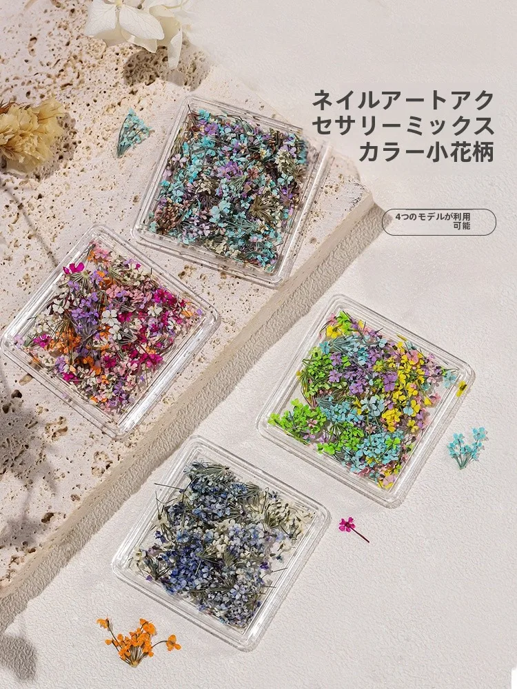 カラフルな花びらのネイル装飾セット：ドライフラワーで自宅DIYを実現するための完全ガイド
