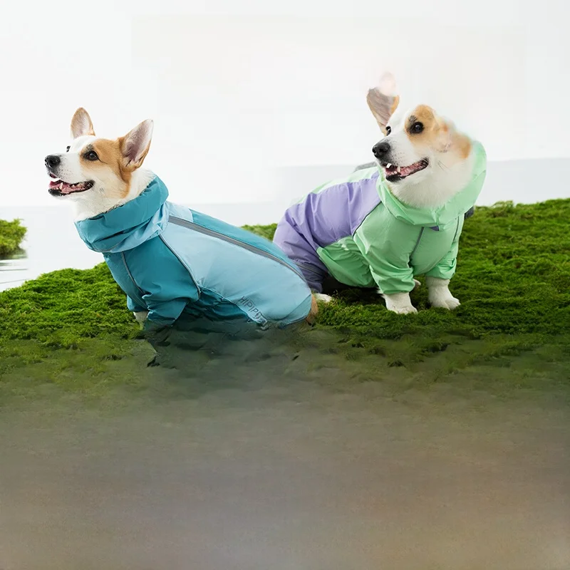 犬のお散歩グッズをコスパ良く揃える方法 - 防水フルカバー雨具のサイズ・色・メンテナンス