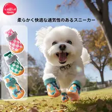 犬用春夏用シューズ【小型犬・通気性・防汚・テディベアデザイン】（セットアップ対応）